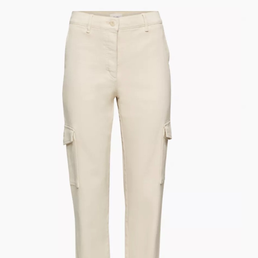 Aritzia Wilfred Free Modern Cargo Pant